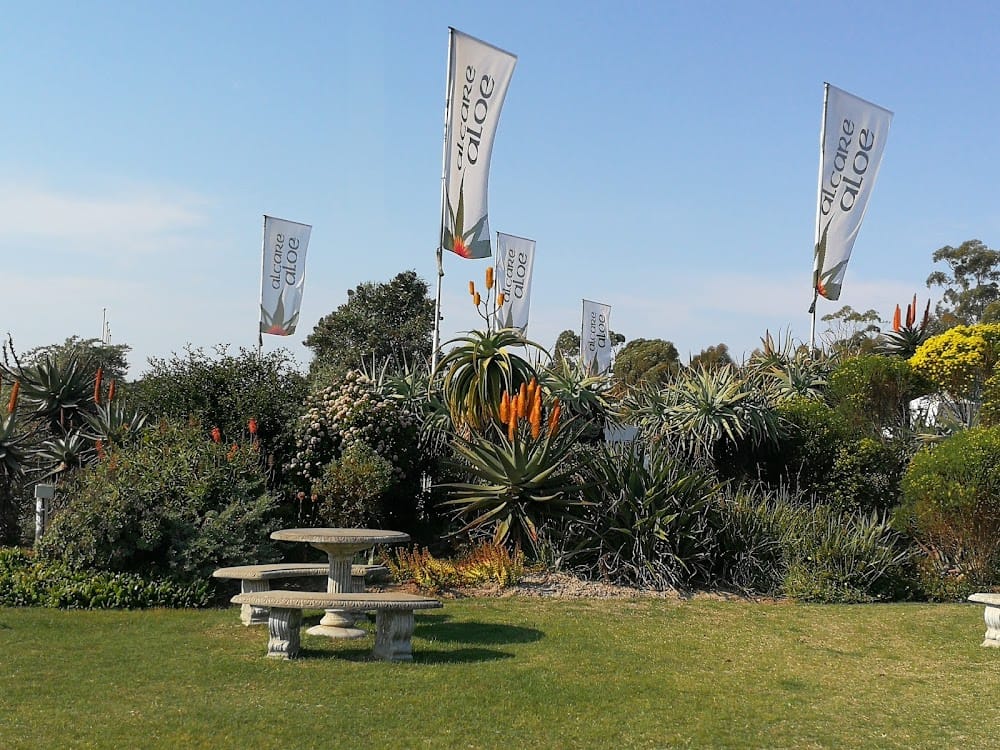 IMG_20210620_124055 (1)