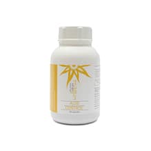 Aloe Blood Sugar and Cholesterol Control